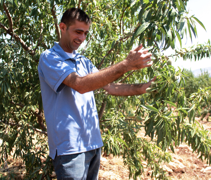 image of Mohammad Irsheid