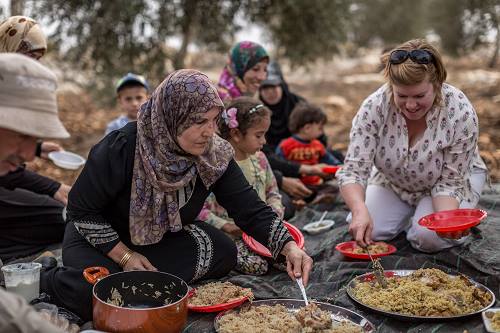 An olive grove picnic