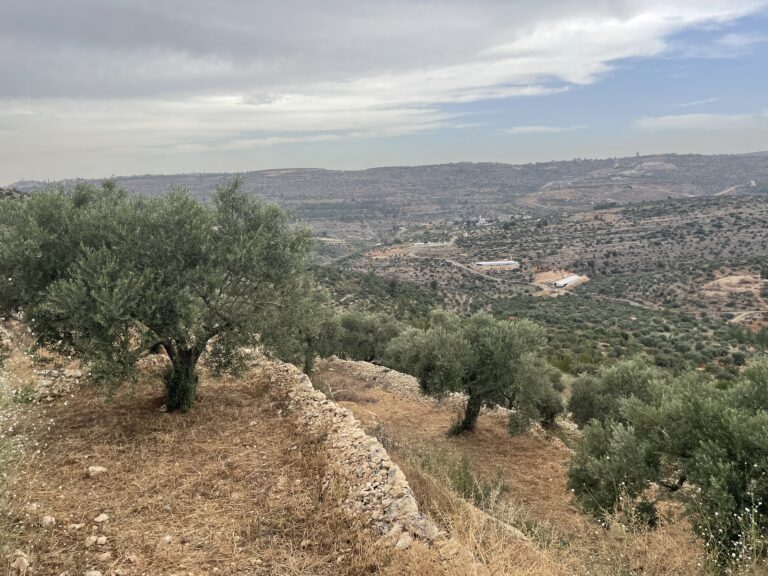 travel to palestine